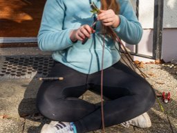 2024_03_22_palmbuschen  057